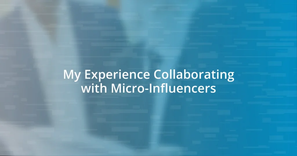 My Experience Collaborating with Micro-Influencers